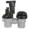 Rain Bird - 075ASVF - 3/4 In. Anti-Siphon Valve