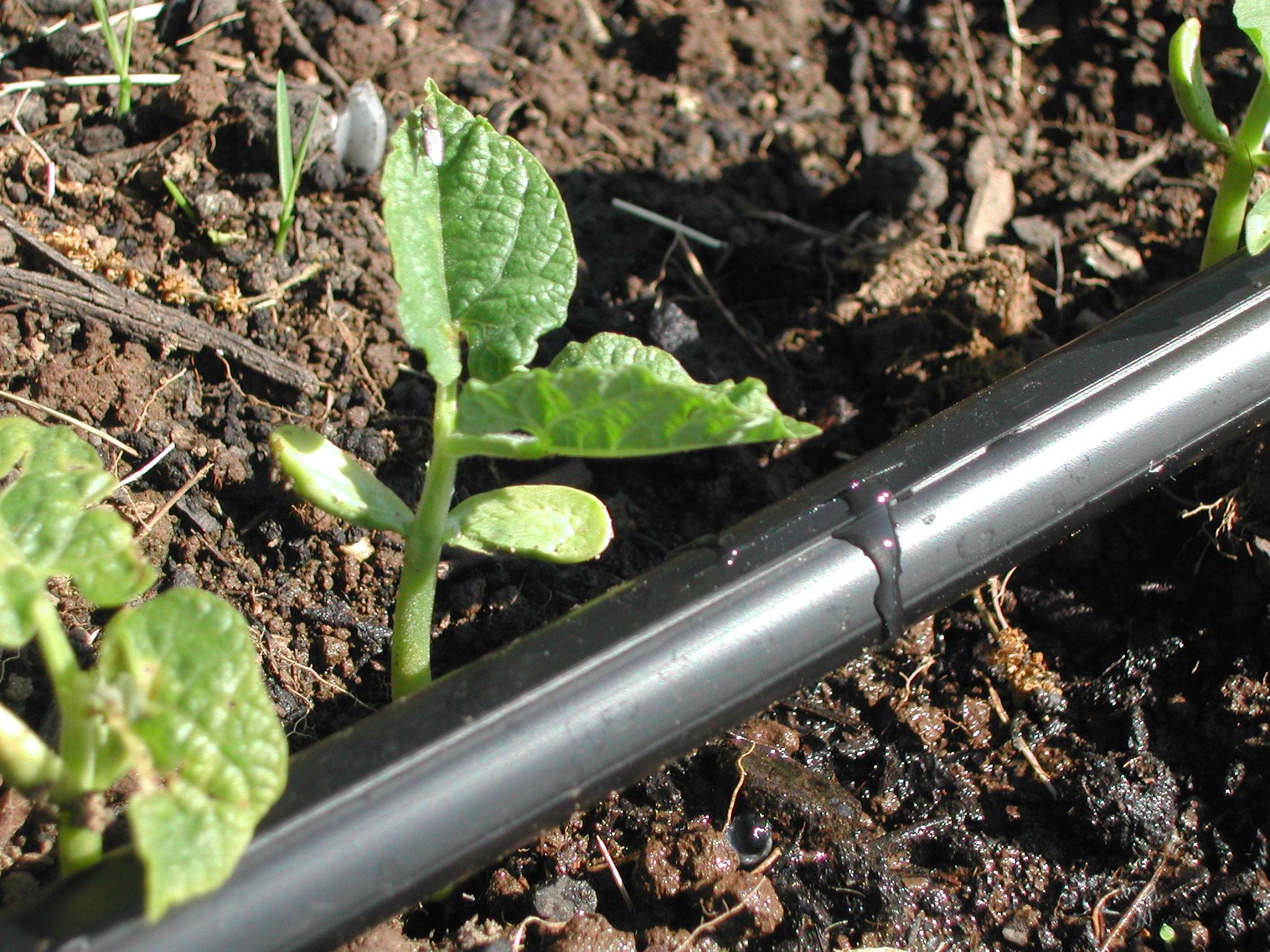 Sprinkler Supply Store Sales -Sprinkler Supply Store Sales t tape TSX 506